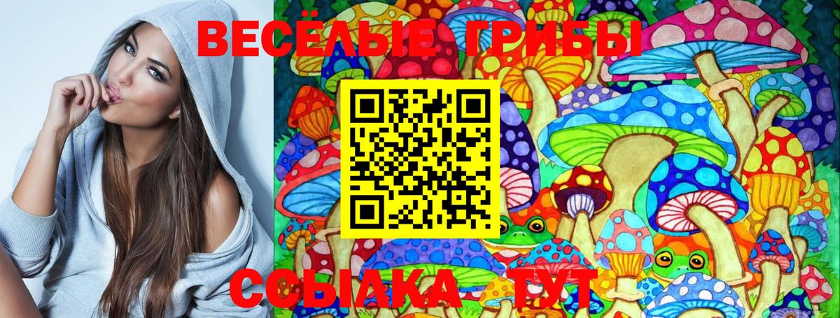 Псилоцибиновые грибы Magic Shrooms Шахты