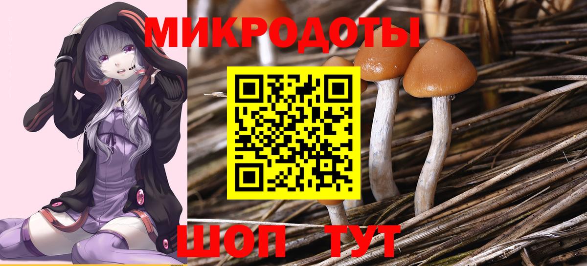 цена   Галлюциногенные грибы Cubensis  Шахты  Вход с VPN  Галлюциногенные грибы Magic Shrooms 