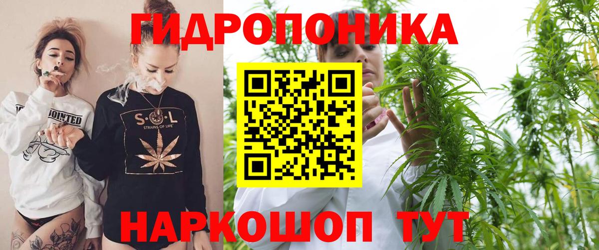 Шишки марихуана семена  Вход с VPN  Бошки марихуана марихуана  Марихуана индика  Шахты 